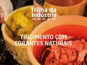 Tingimento com Corantes Naturais