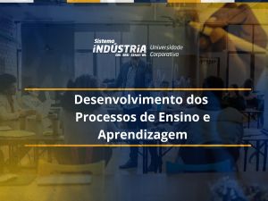 Desenvolvimento dos Processos de Ensino e Aprendizagem